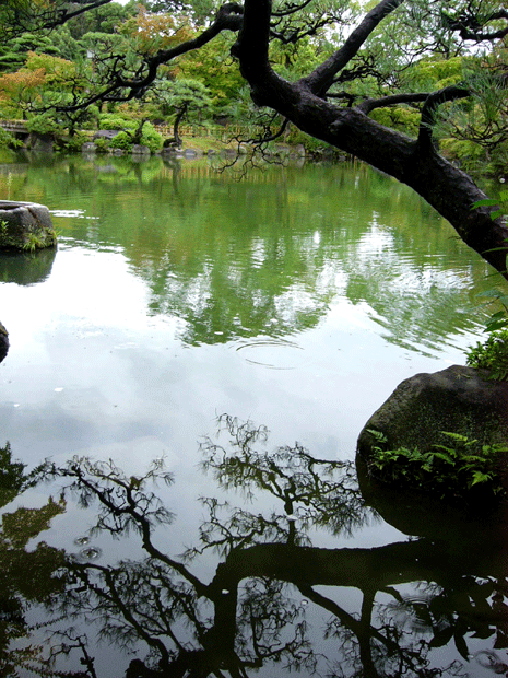 c0225153_21541363.gif