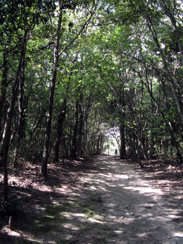 f0007956_19244734.jpg