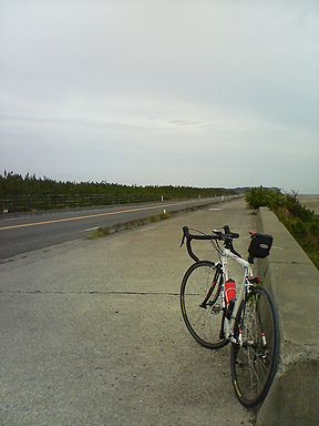 a0096557_15574831.jpg