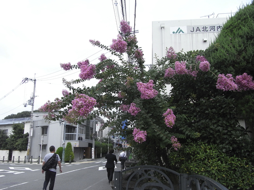 b0122664_22434687.jpg