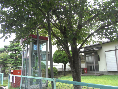 b0122664_22573389.jpg