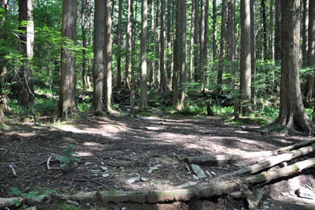 e0197164_11234966.jpg