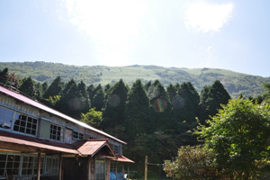 e0197164_11241490.jpg