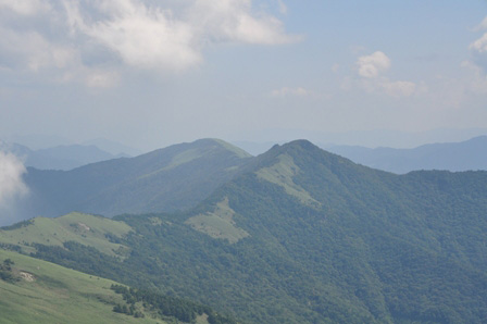 e0197164_1421797.jpg