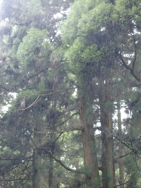 c0207868_935792.jpg