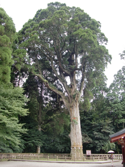 c0207868_9364485.jpg