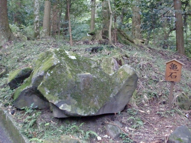 c0207868_9444528.jpg
