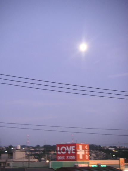 b0175571_14254954.jpg