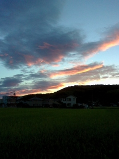 c0174077_12173313.jpg