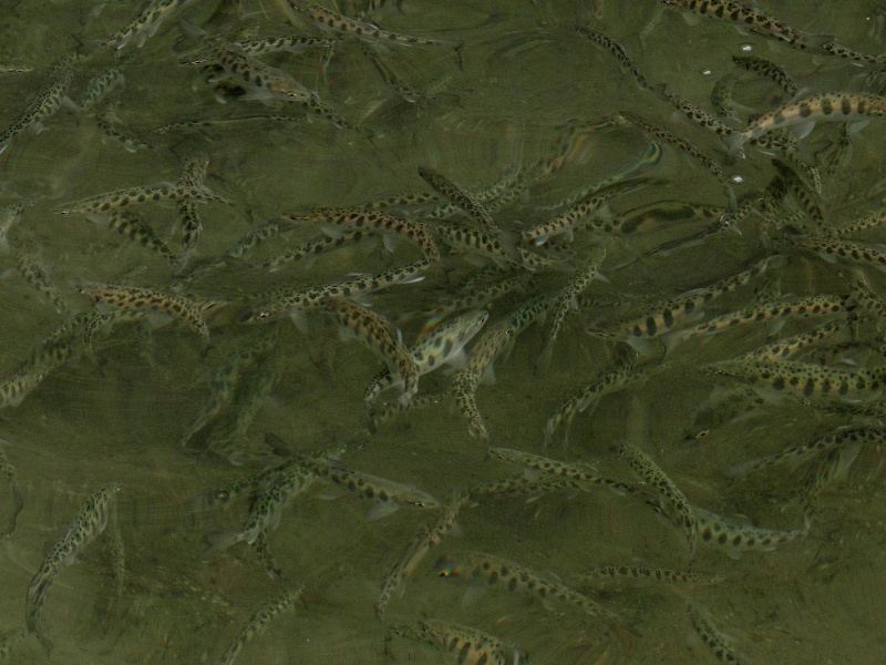 c0183777_16554865.jpg