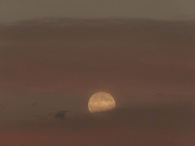 c0183777_17195756.jpg