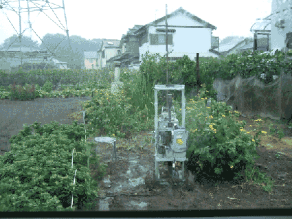 a0116378_123652.gif