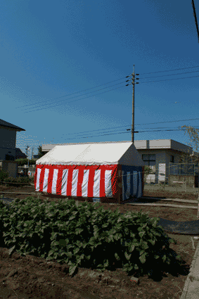 a0116378_1237561.gif