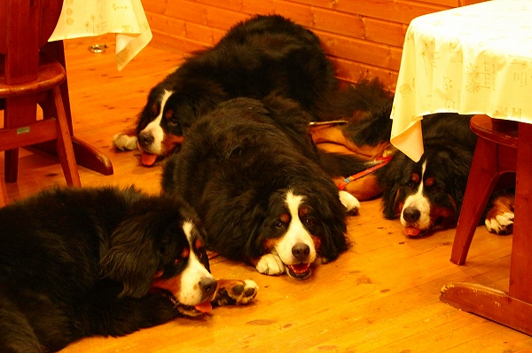 c0149178_811371.jpg