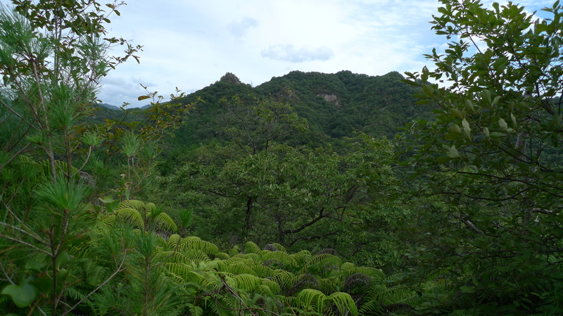 e0024081_18563491.jpg