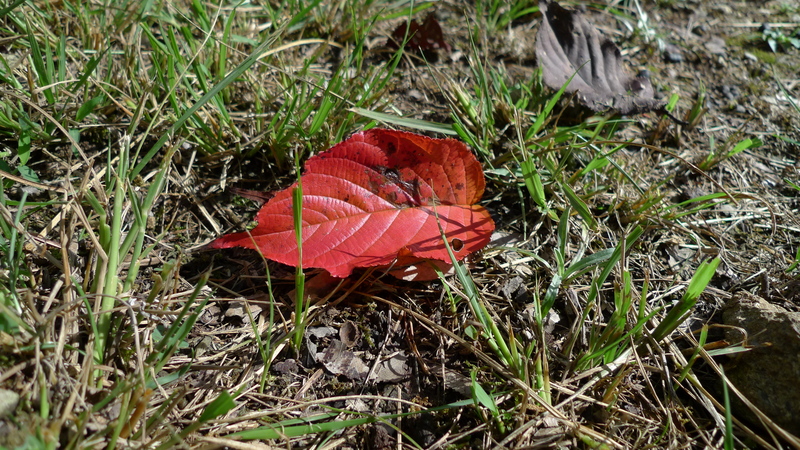 e0024081_1857348.jpg