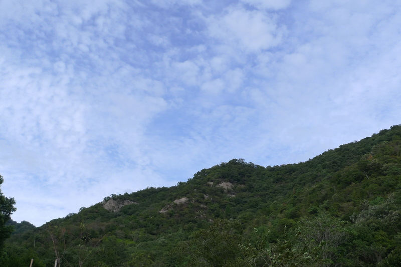 e0024081_1902530.jpg