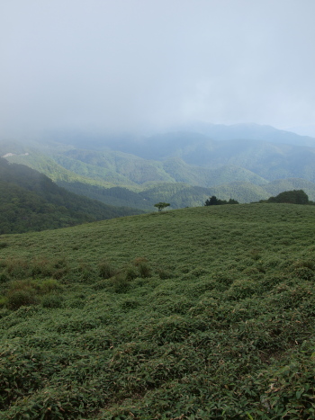 f0103688_0332797.jpg
