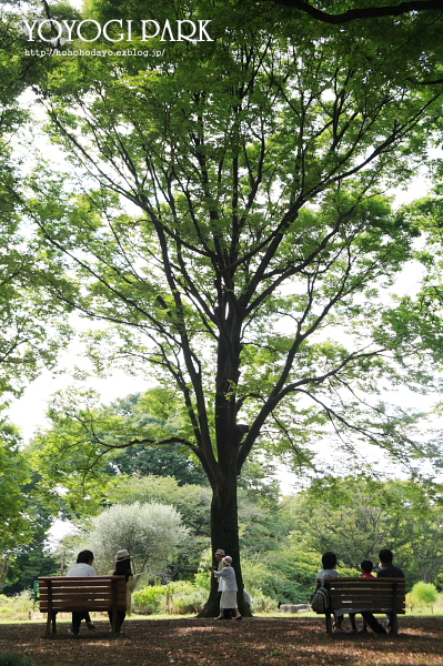 d0158191_2124230.jpg