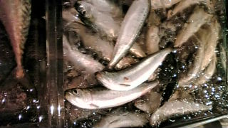 f0084695_10363860.jpg