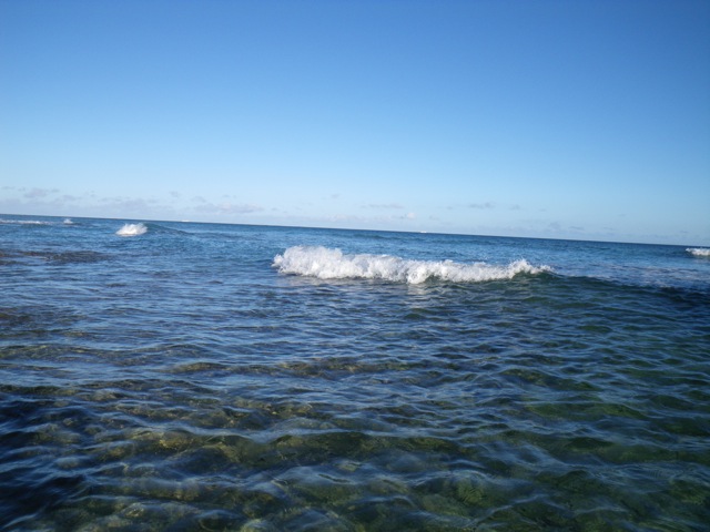 c0193396_10414037.jpg