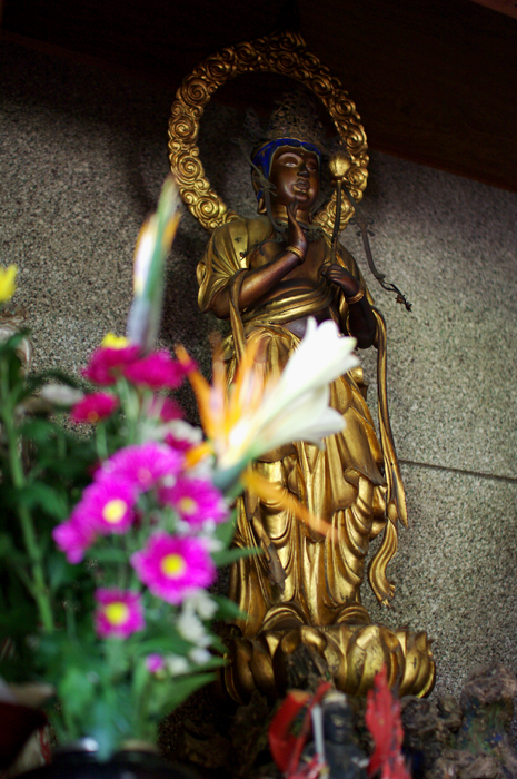 e0079696_834919.jpg