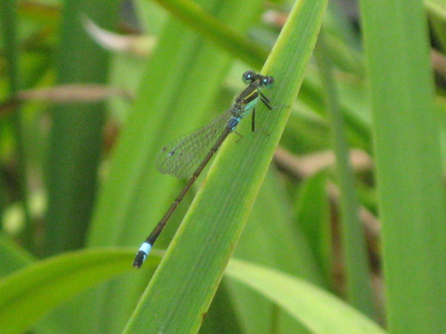 f0236201_18444419.jpg