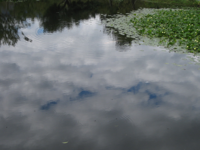 f0236201_18474454.jpg