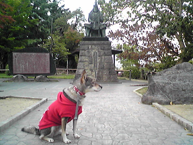 f0079202_1724611.jpg