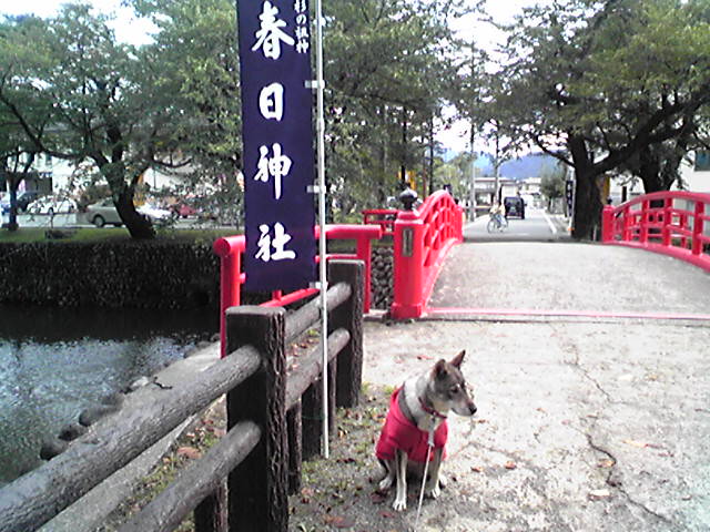 f0079202_1724626.jpg