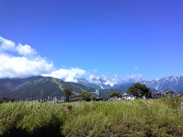 f0102803_2361870.jpg