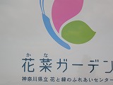 d0180506_20413681.jpg