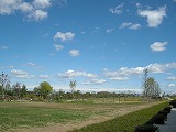 d0180506_20525459.jpg