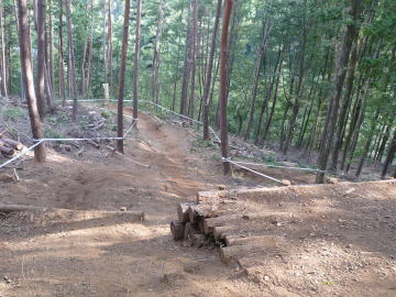 e0070606_304134.jpg