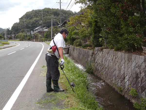 b0159611_0391322.gif