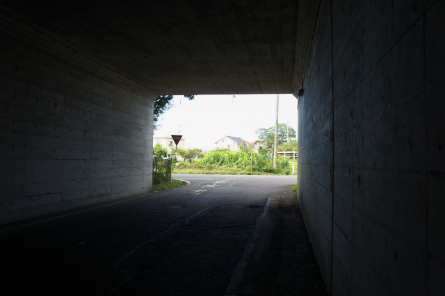 d0143011_1503594.jpg