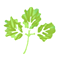 c0160014_2220191.gif