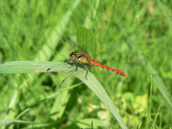 e0002314_21465719.jpg