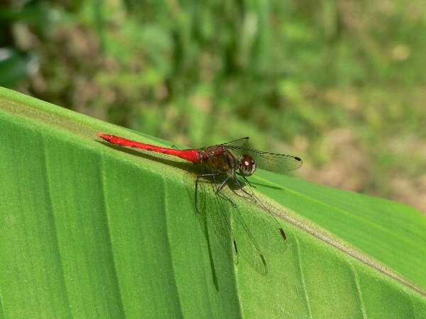 e0002314_21475279.jpg