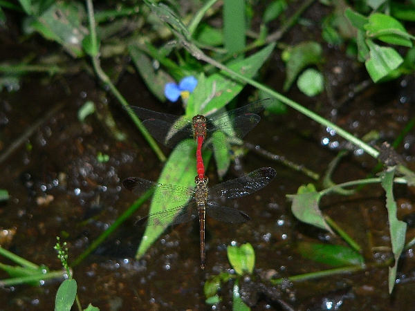 e0002314_2205023.jpg