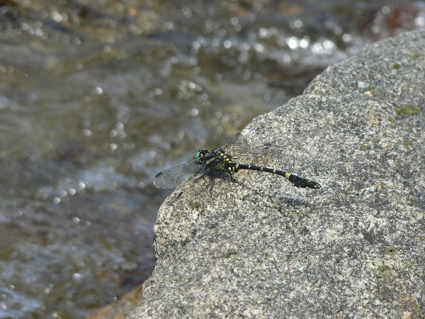 e0002314_221020.jpg
