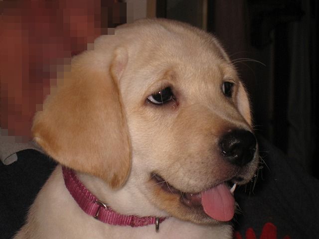 e0192217_8571263.jpg