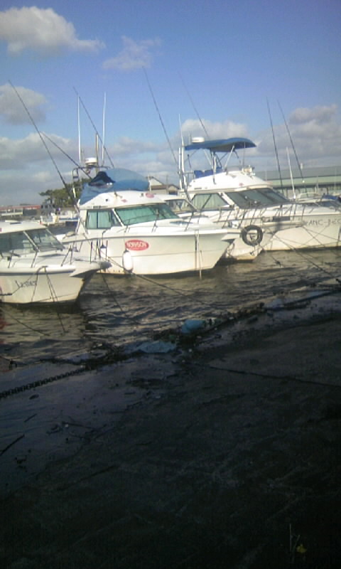 f0125225_1643047.jpg