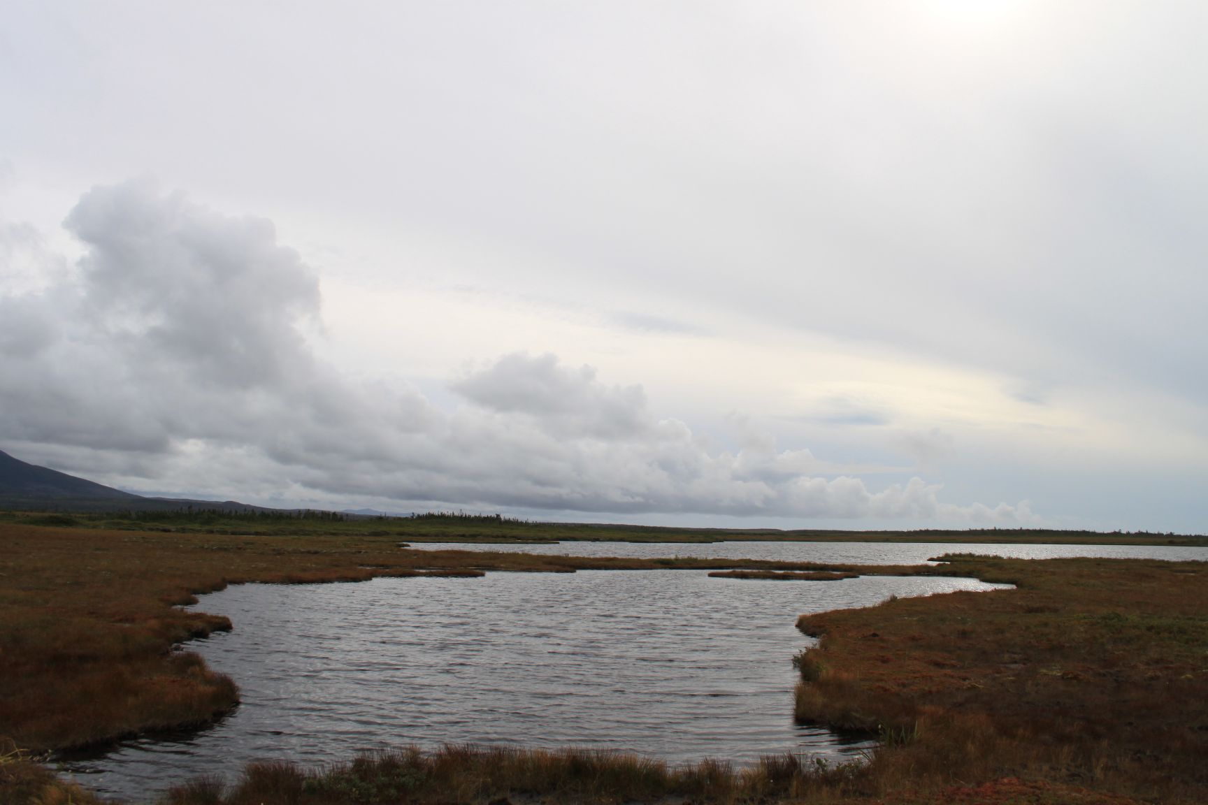 b0204528_103224.jpg