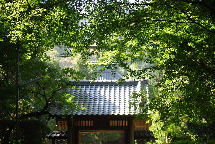 d0085228_010314.jpg