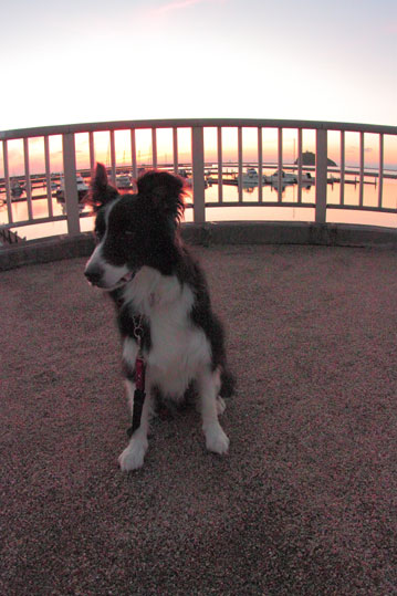 d0069235_044768.jpg