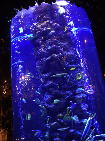 c0125637_23111664.jpg