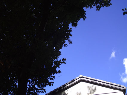 c0125637_23112711.jpg