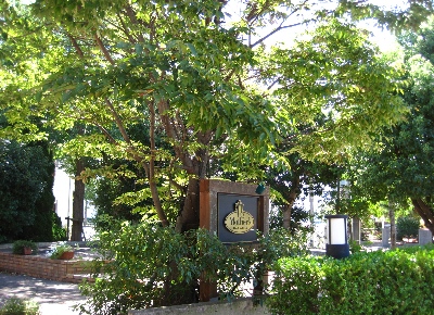 b0149340_20525219.jpg