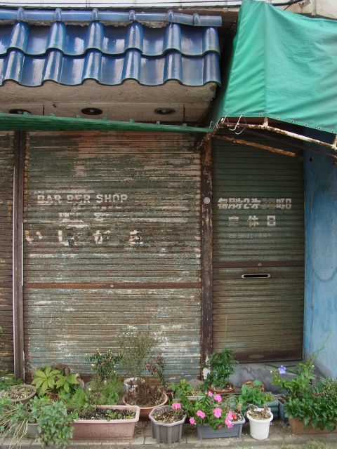 a0087341_4341317.jpg